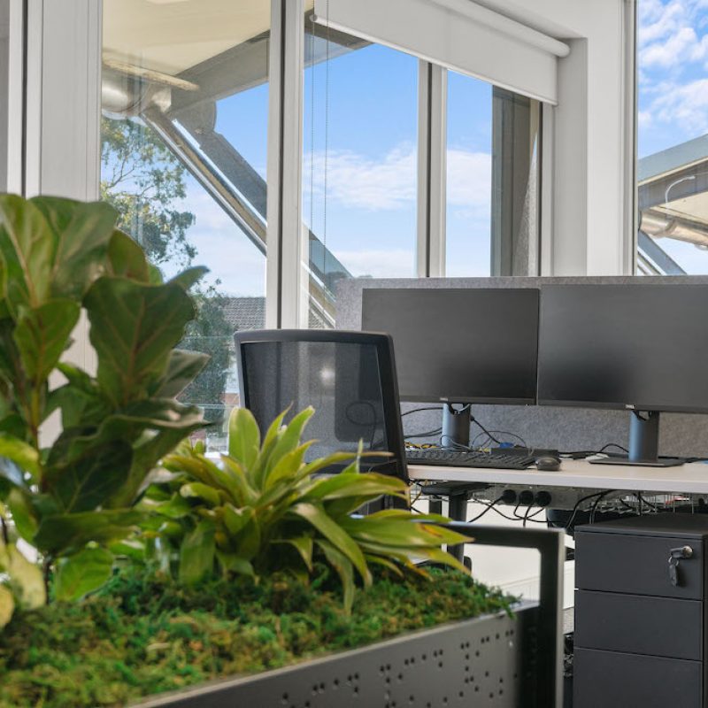 Photo 2 (Modern Office space, workspace, biophilic design) Photo 2 (Modern Office space, workspace, biophilic design)
