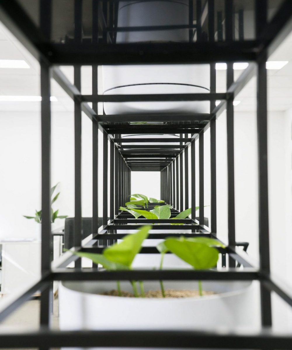 Workspace, workplace, education, workplace plants, Decocorp